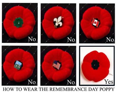 How to wear a Poppy